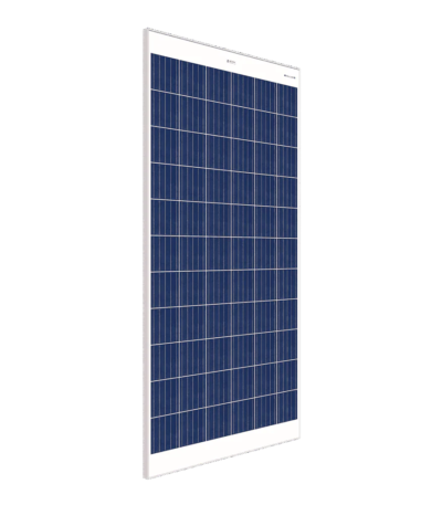 Blue Power 300W Polycrystalline Solar Panel