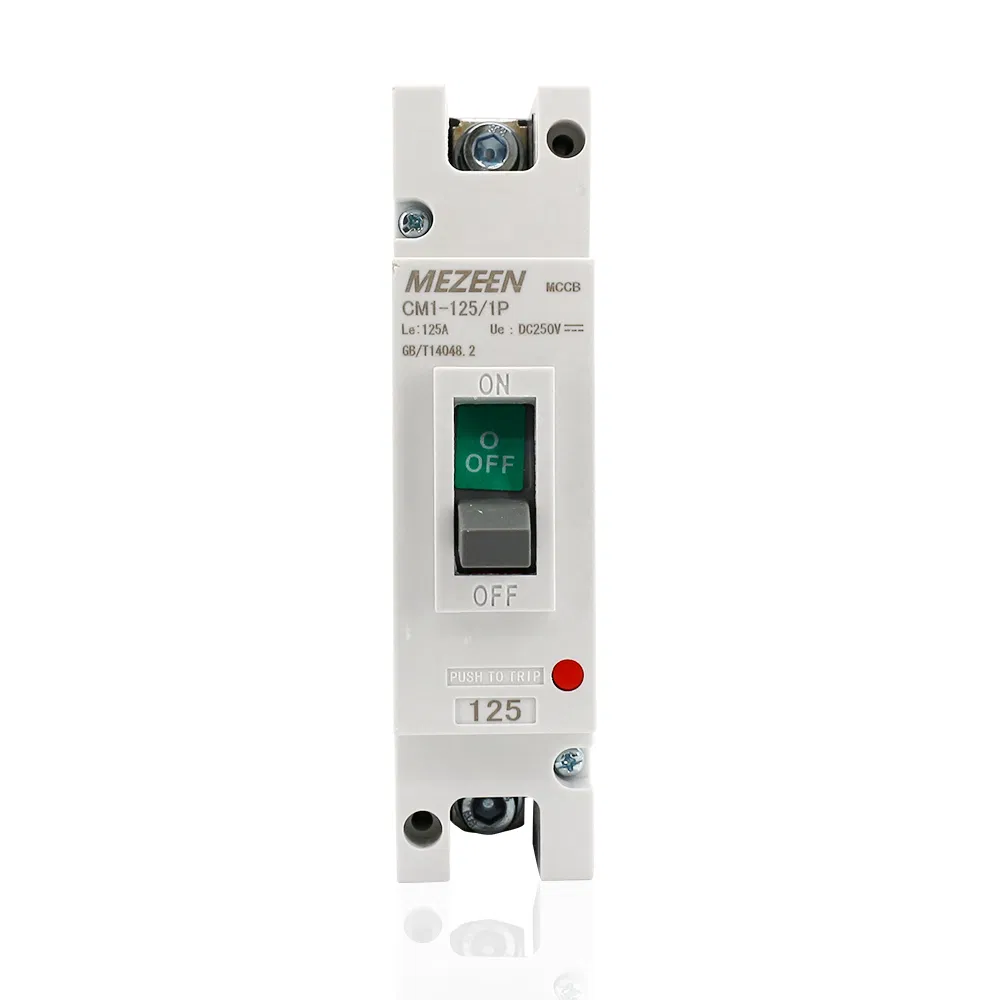 100A DC Circuit Breaker for Solar Lagos