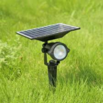 Solar Ground Spike Garden Light Asaba