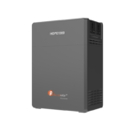Felicity 10kWh Backup Power System Asaba