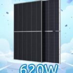 TRINA TSM-620DE20 620W Bifacial Vertex Solar Panel