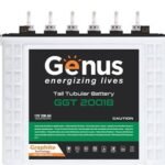 GENUS 6.25KVA/48V Hybrid Solar Inverter