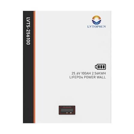 LVTOPSUN LVTS-CAN200 CAN Enabled 10kWh Battery