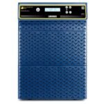 LUMINOUS Rayverter Neo Elite 6KVA/48V EXP Inverter