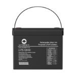 LVTOPSUN LV48100 48V 100Ah 4.8kWh LiFePO4 Battery
